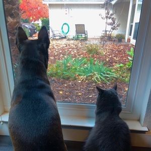 Meet your Posher, Coley